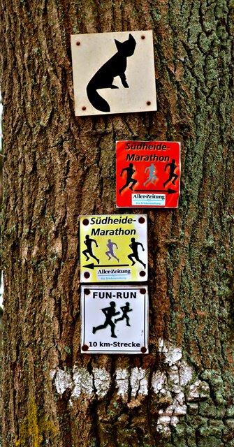 Südheide-Marathon