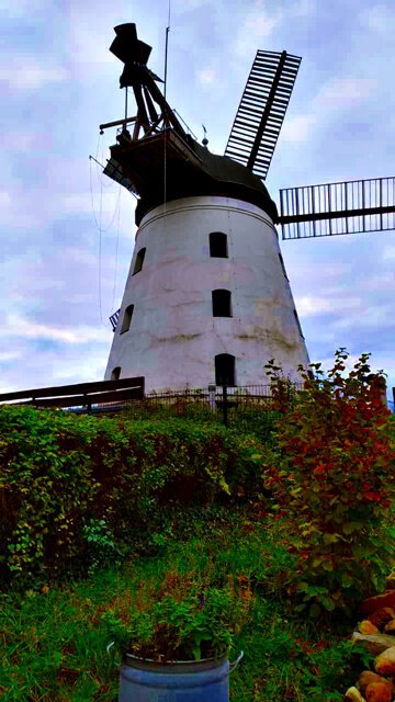 Die Mühle in Wendhausen